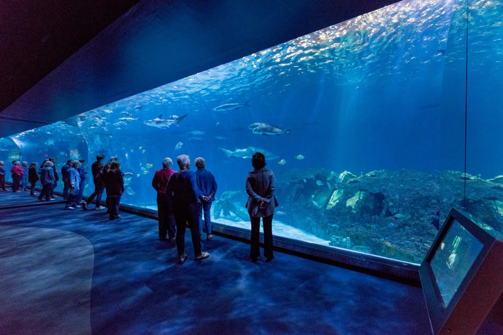 NC Aquarium on Roanoke Island