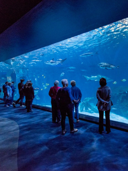 NC Aquarium on Roanoke Island