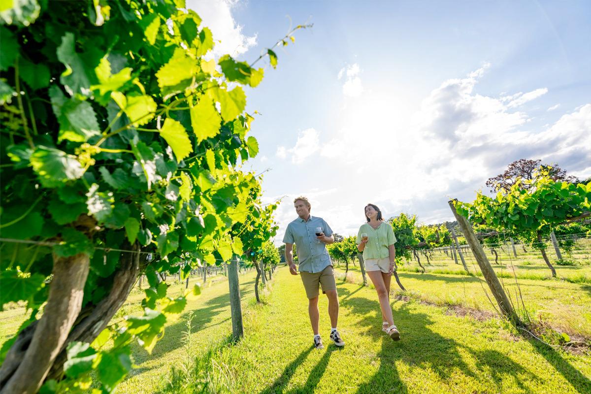 Currituck Mainland Guide