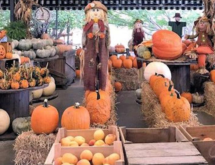 Grandys Farmers Market