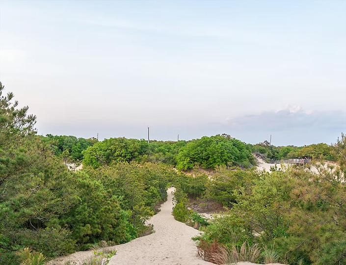 Killer Dunes