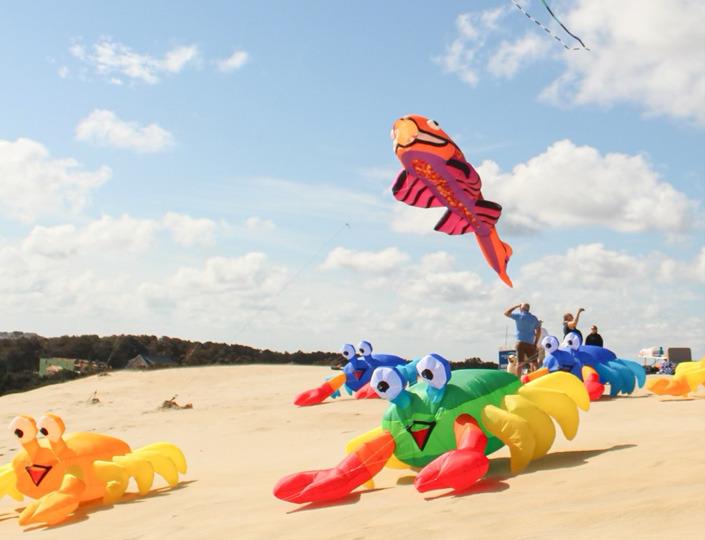Outer Banks Kite Fest