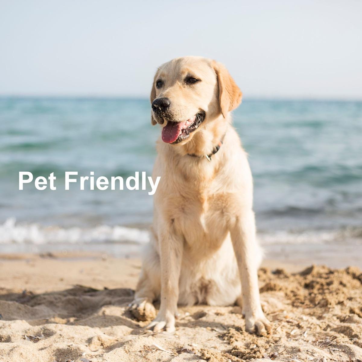 KEES Vacations Pet-Friendly Rentals