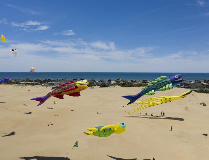 Rogallo Kite Festival