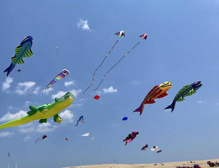 Rogallo Kite Festival