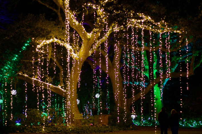 WinterLights at the Elizabethan Gardens